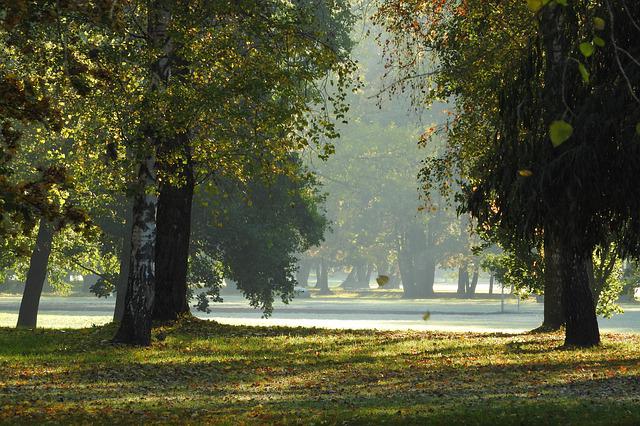 městský park v Českých Budějovicích